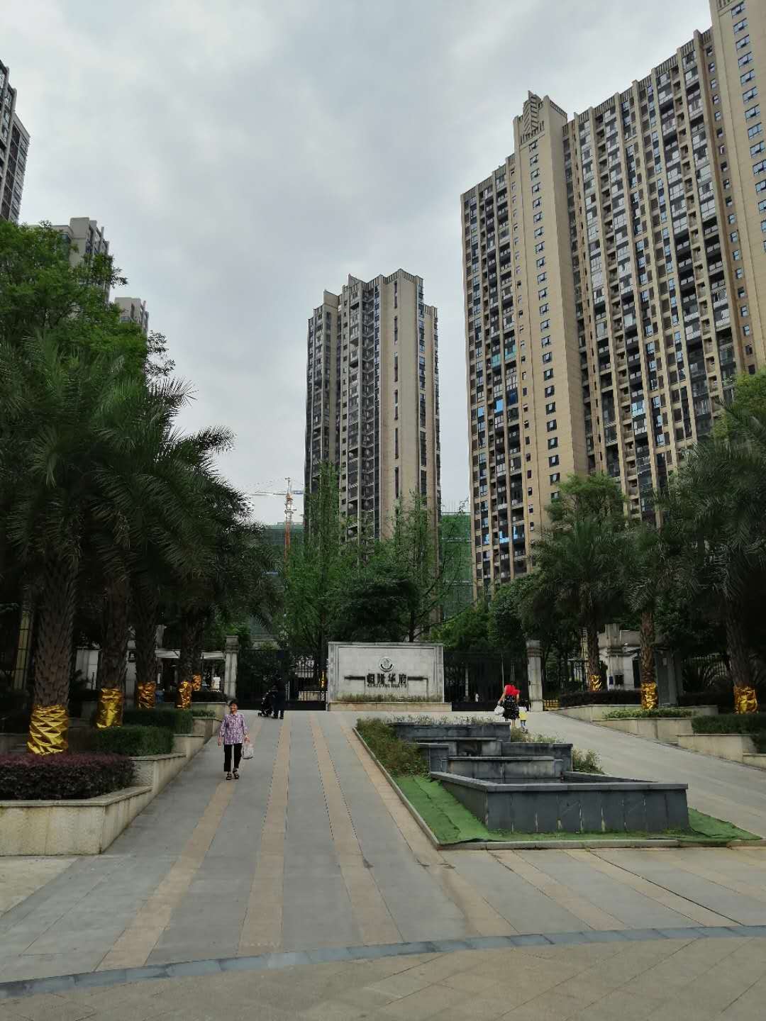 恒隆国际最新续集
